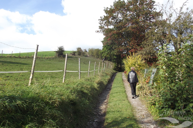 PAYS - Chemin